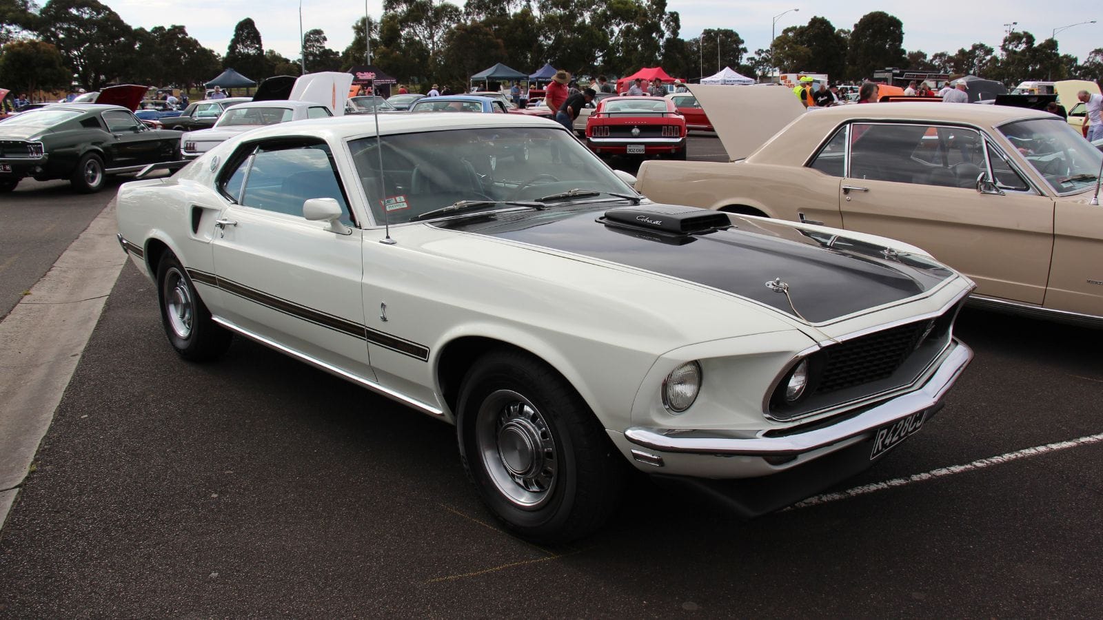 1970 Ford Mustang Mach 1 428 Cobra Jet