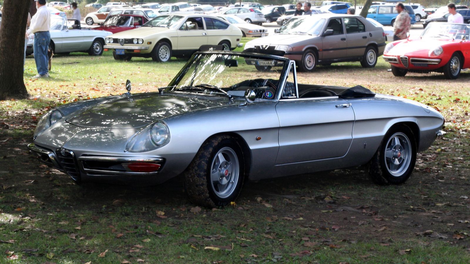 1974 Alfa Romeo Spider