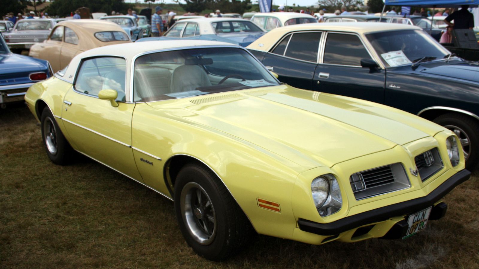 1975 Pontiac Firebird Esprit