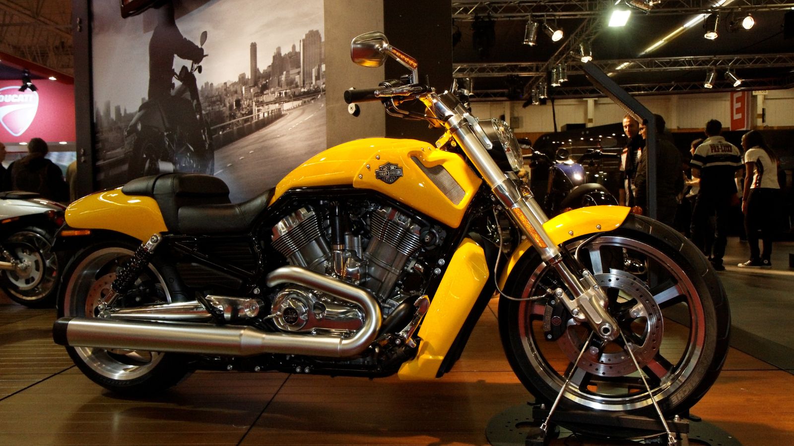 Harley-Davidson - VRSCF V-Rod Muscle