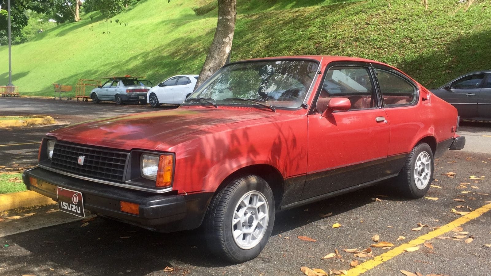 Isuzu I-Mark Coupé in Puerto Rico