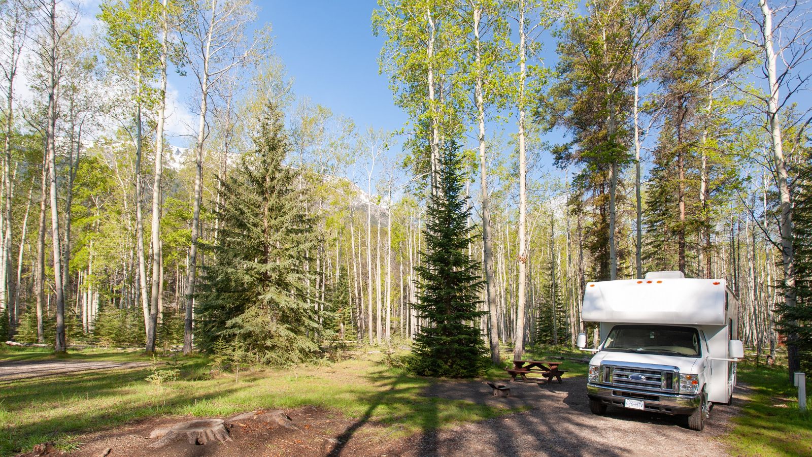 JASPER, CANADA - Jun 03, 2019 Beautiful campsite in the forest on a lovely sunny day. There is an RV and a wooden bench.