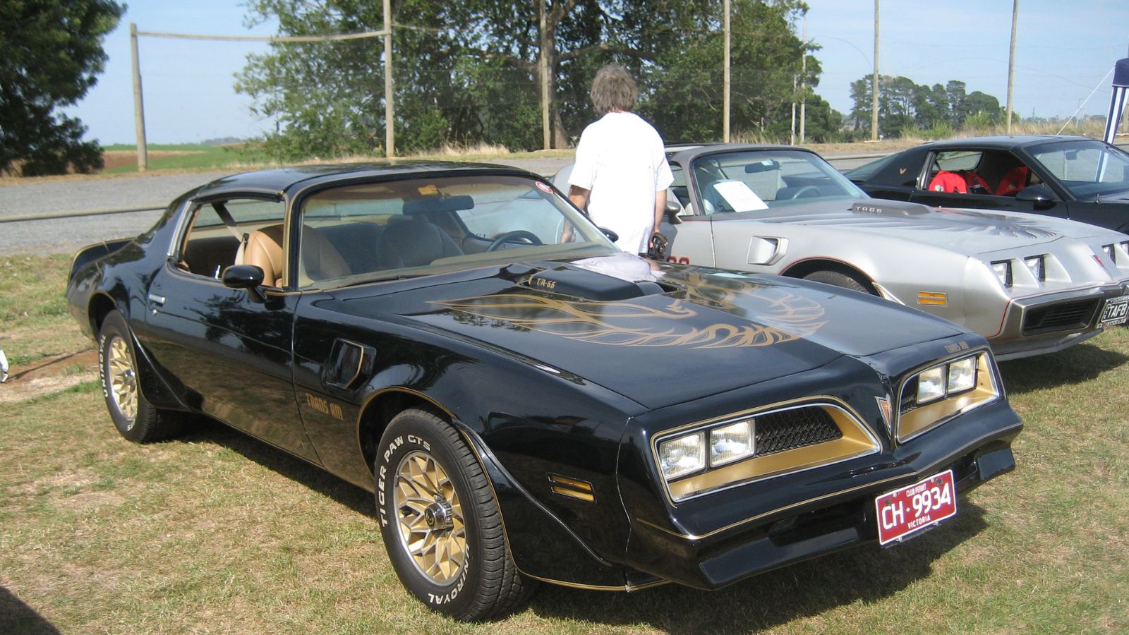 Pontiac Firebird Transam SE 1977