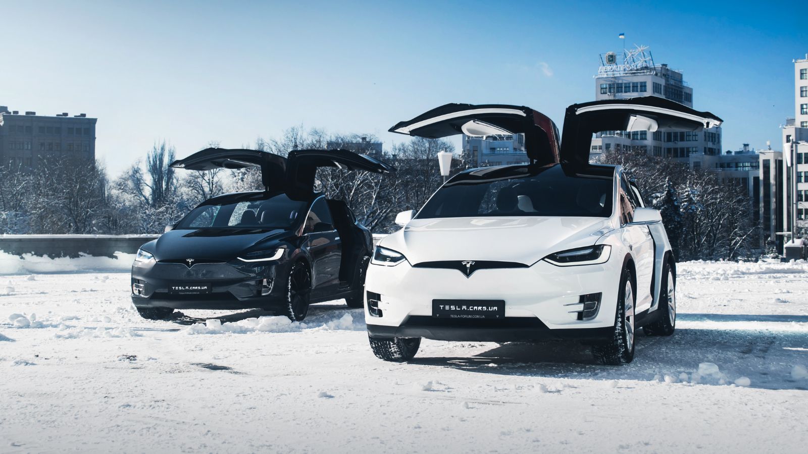 Two Tesla Model X
