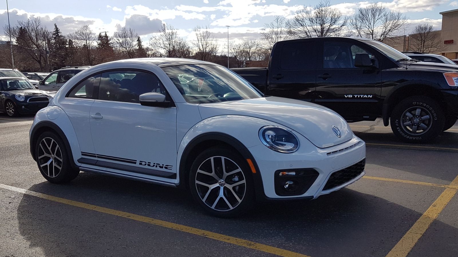 Volkswagen Beetle Dune
