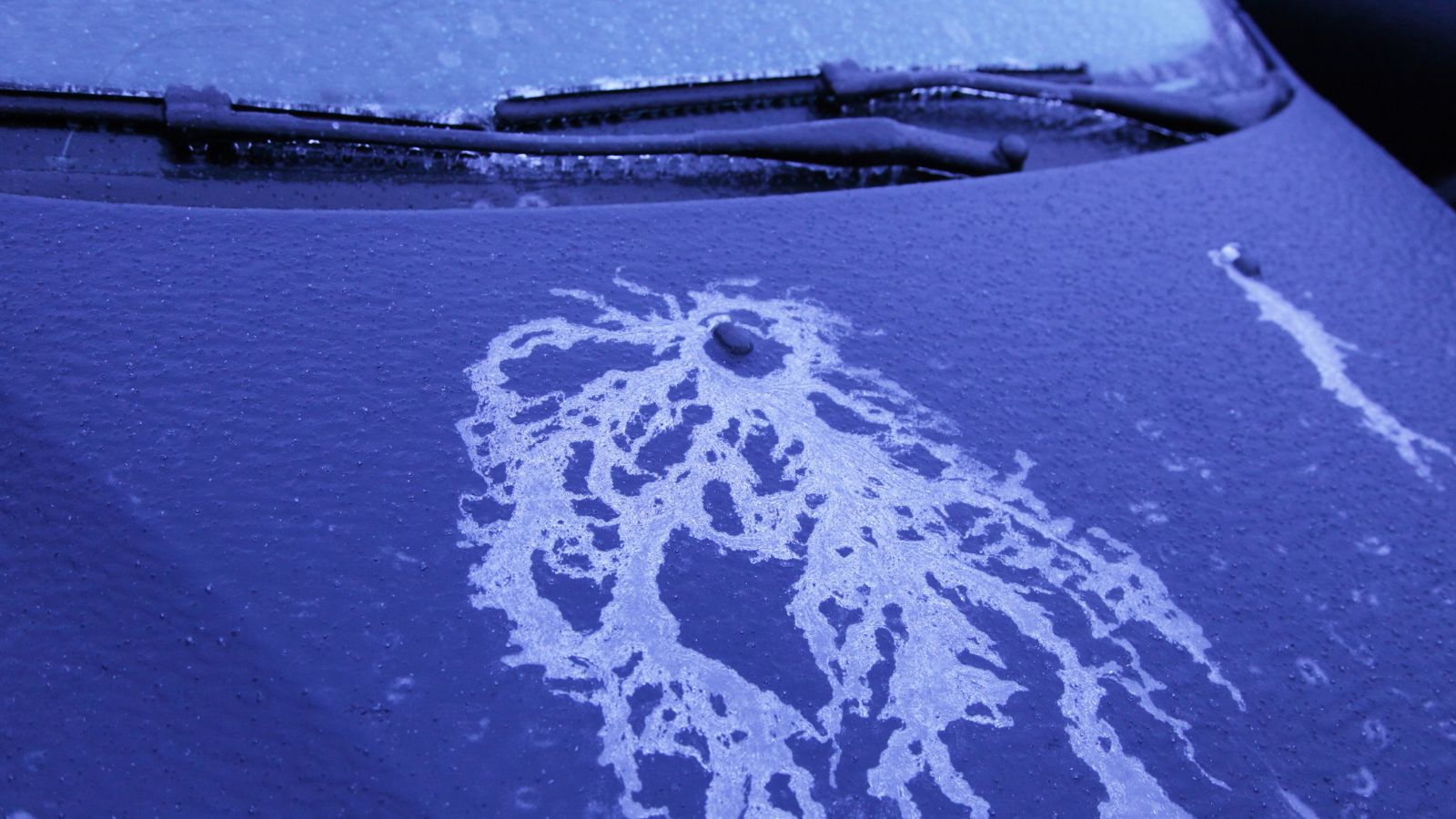 non-freezing washer fluid from washing