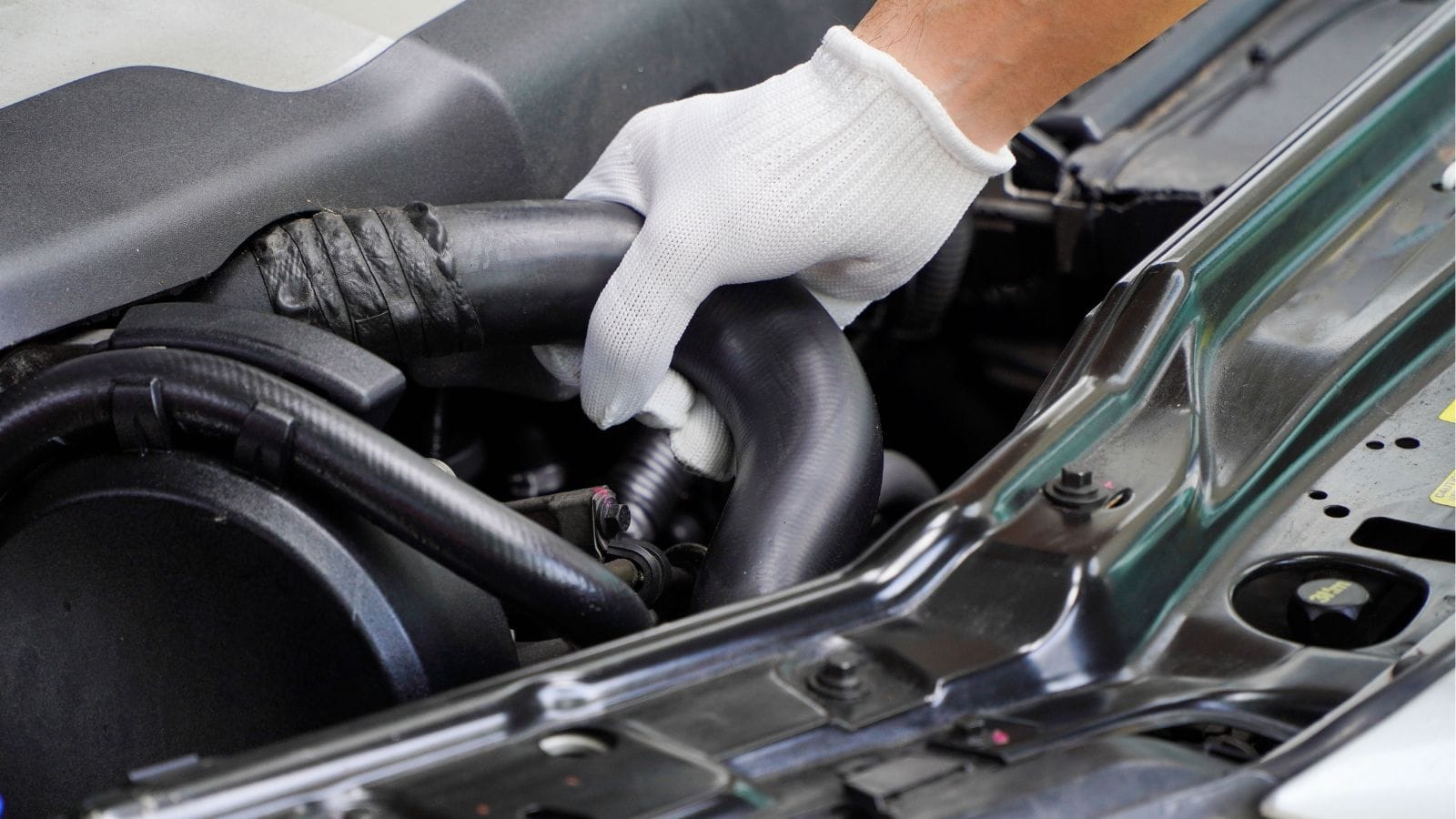 radiator hose