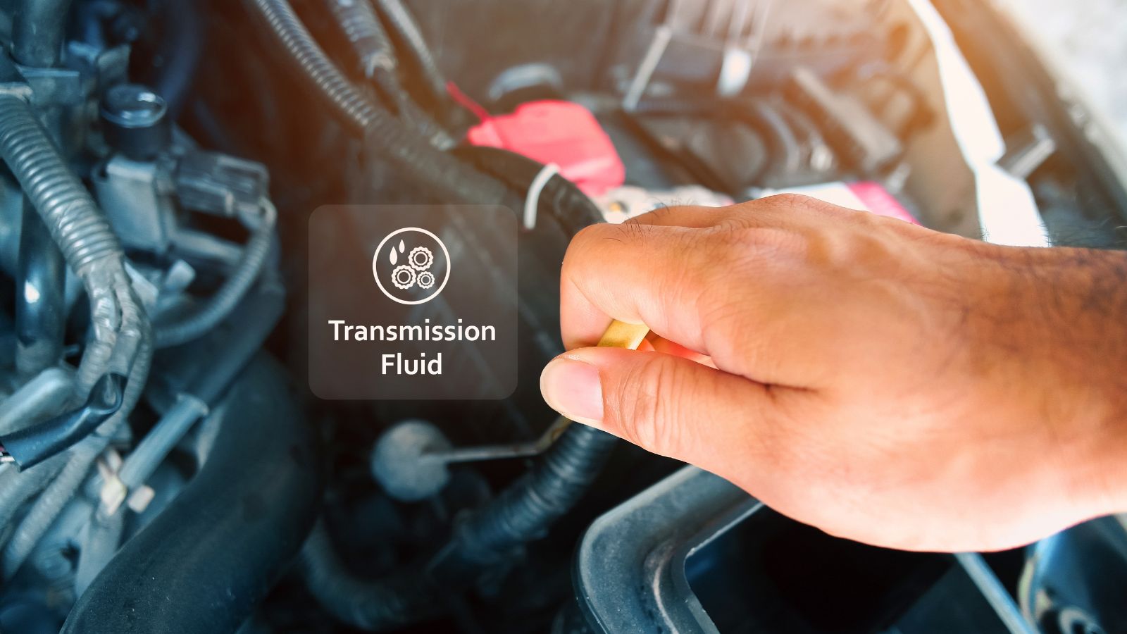 transmission fluid