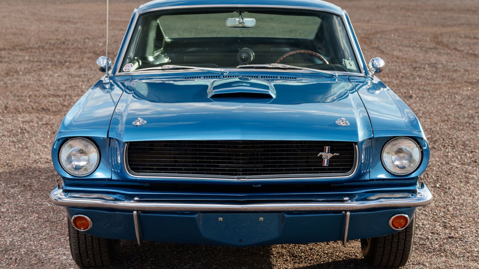 1966 Shelby GT350