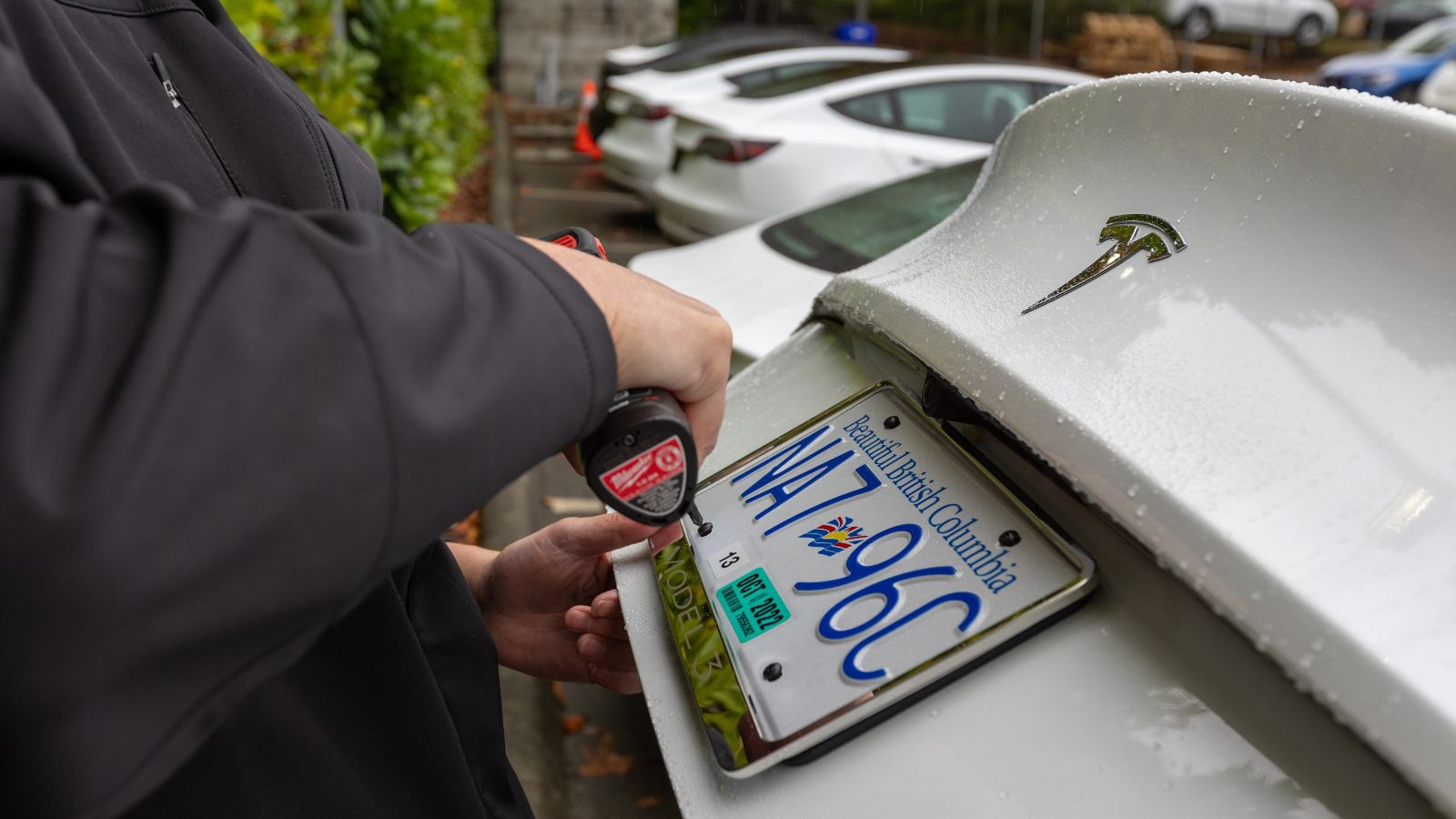 BC license plate