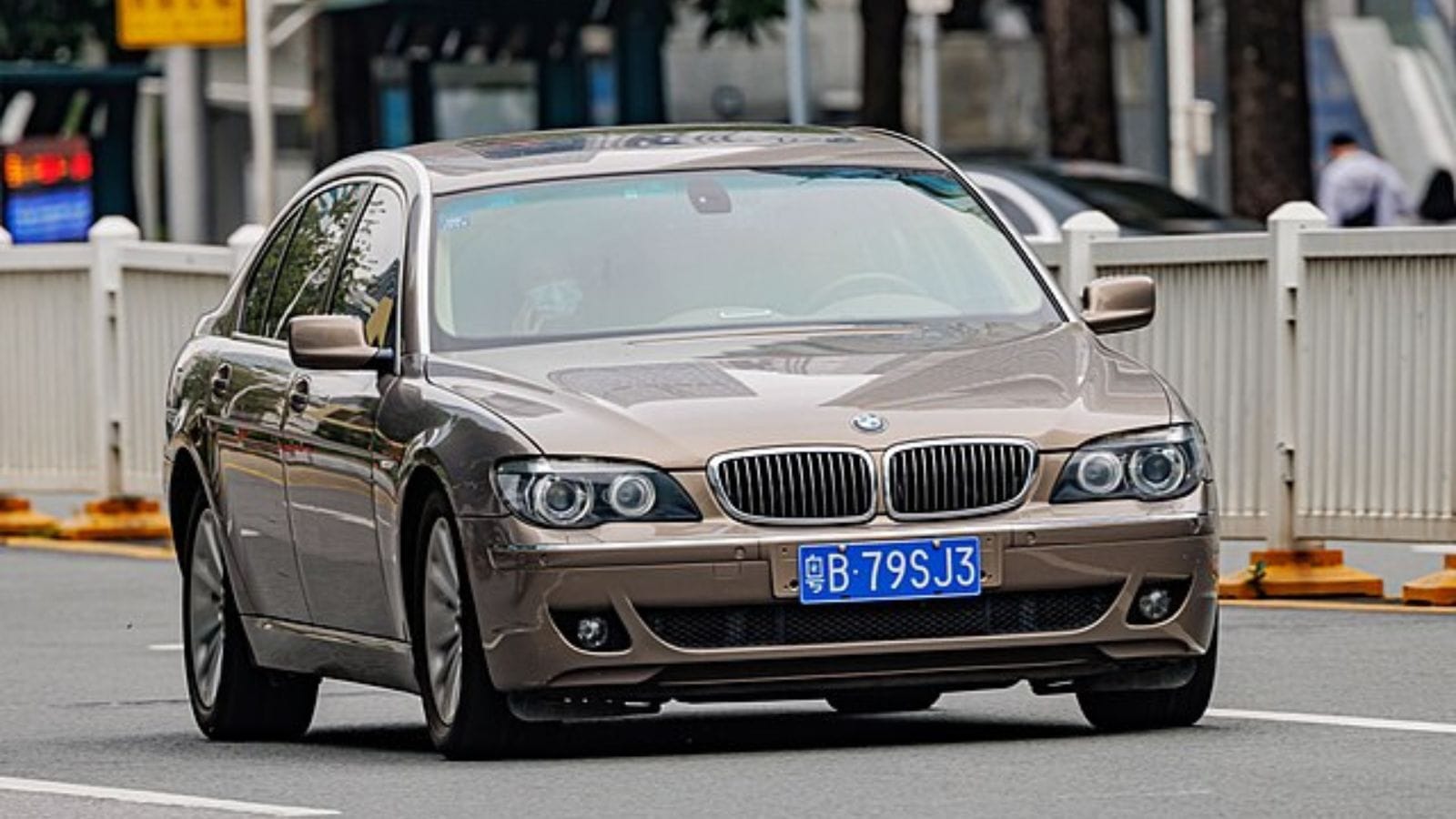 BMW 7 SERIES (E65) China (4)