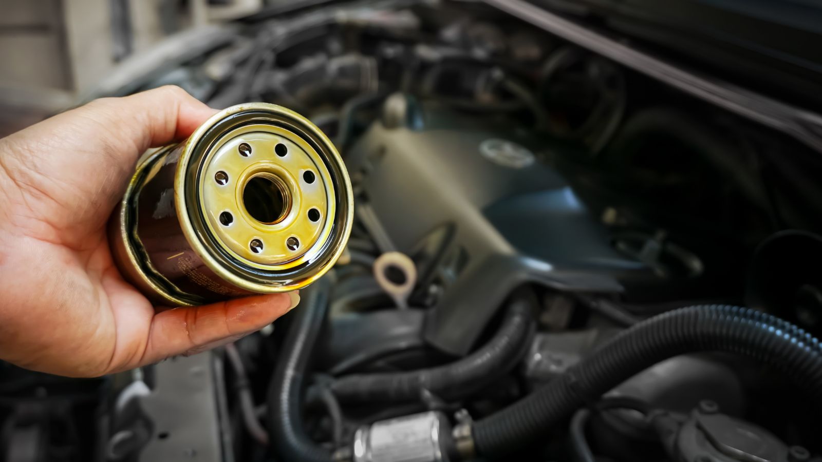 Oil and fuel filter