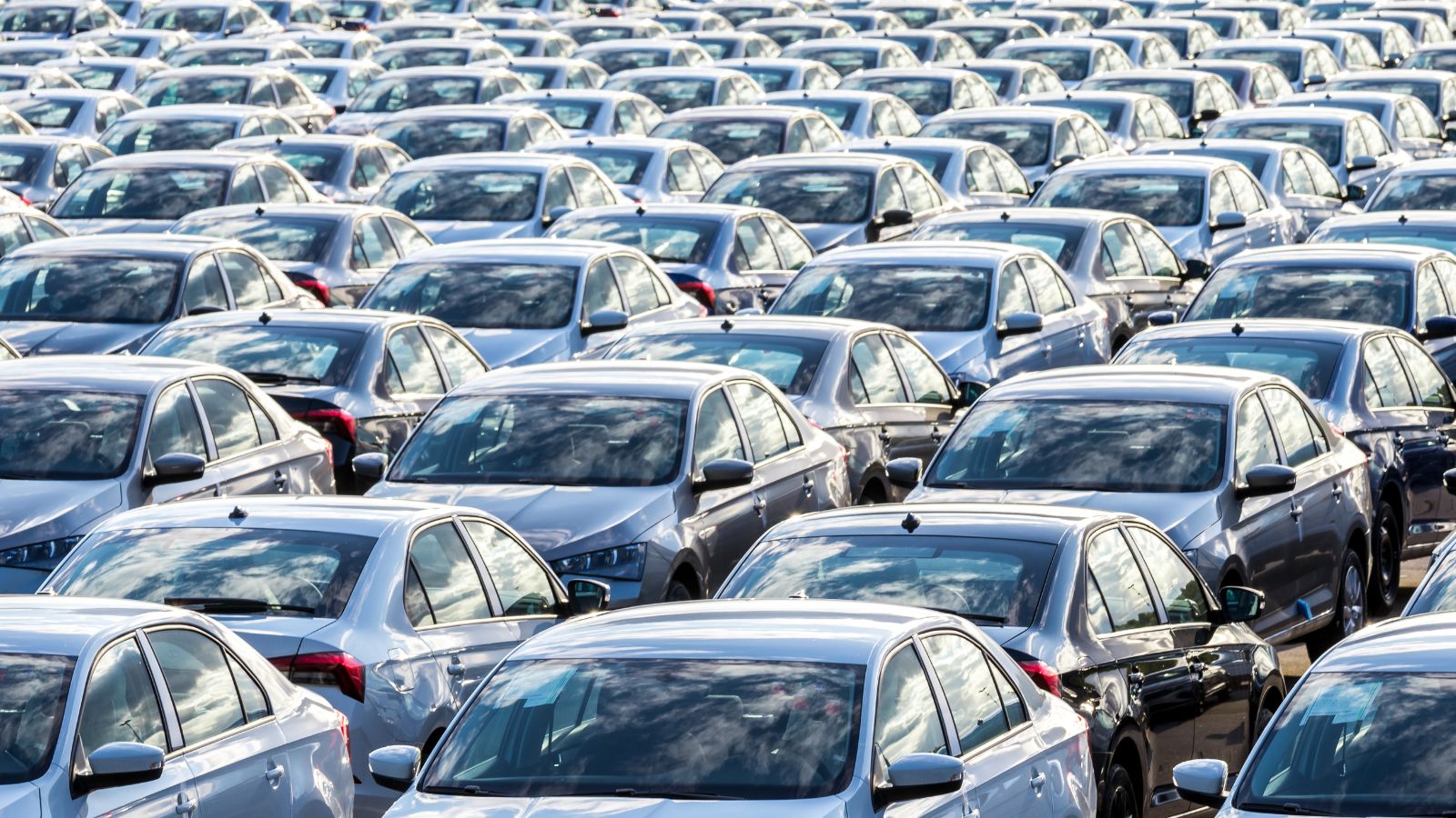 Rows of a new cars