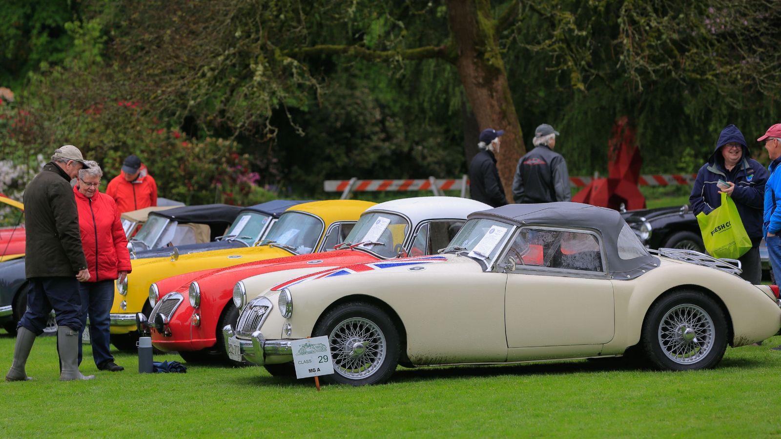car show at VanDusen