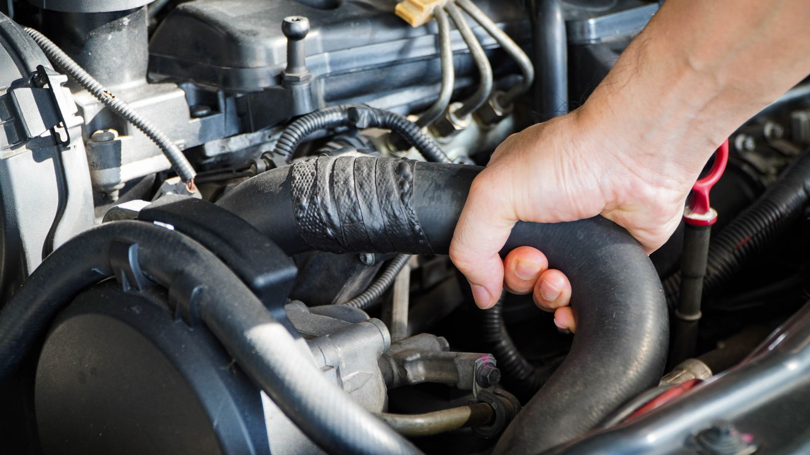 radiator hose