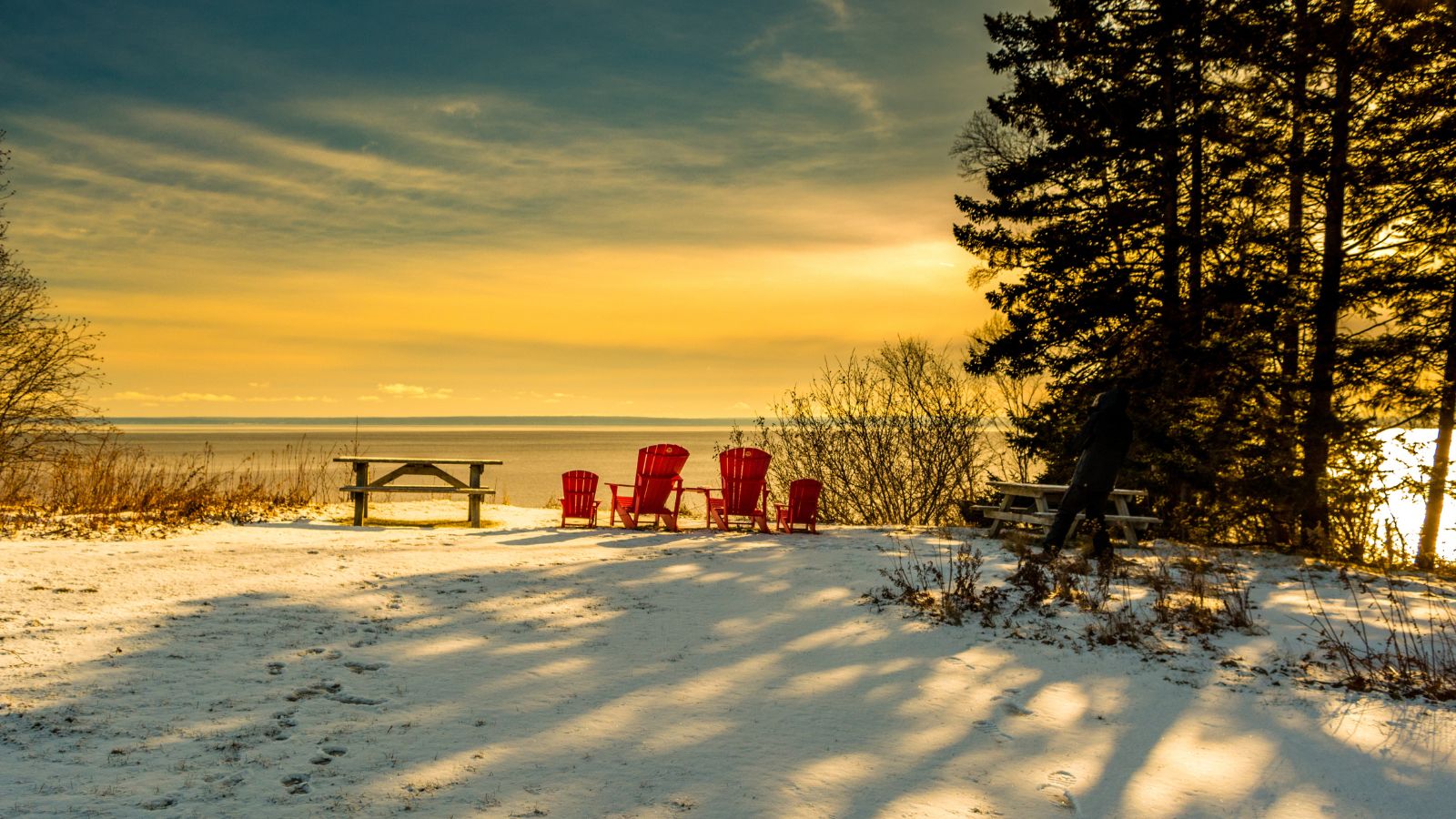 -21C Fundy National Park