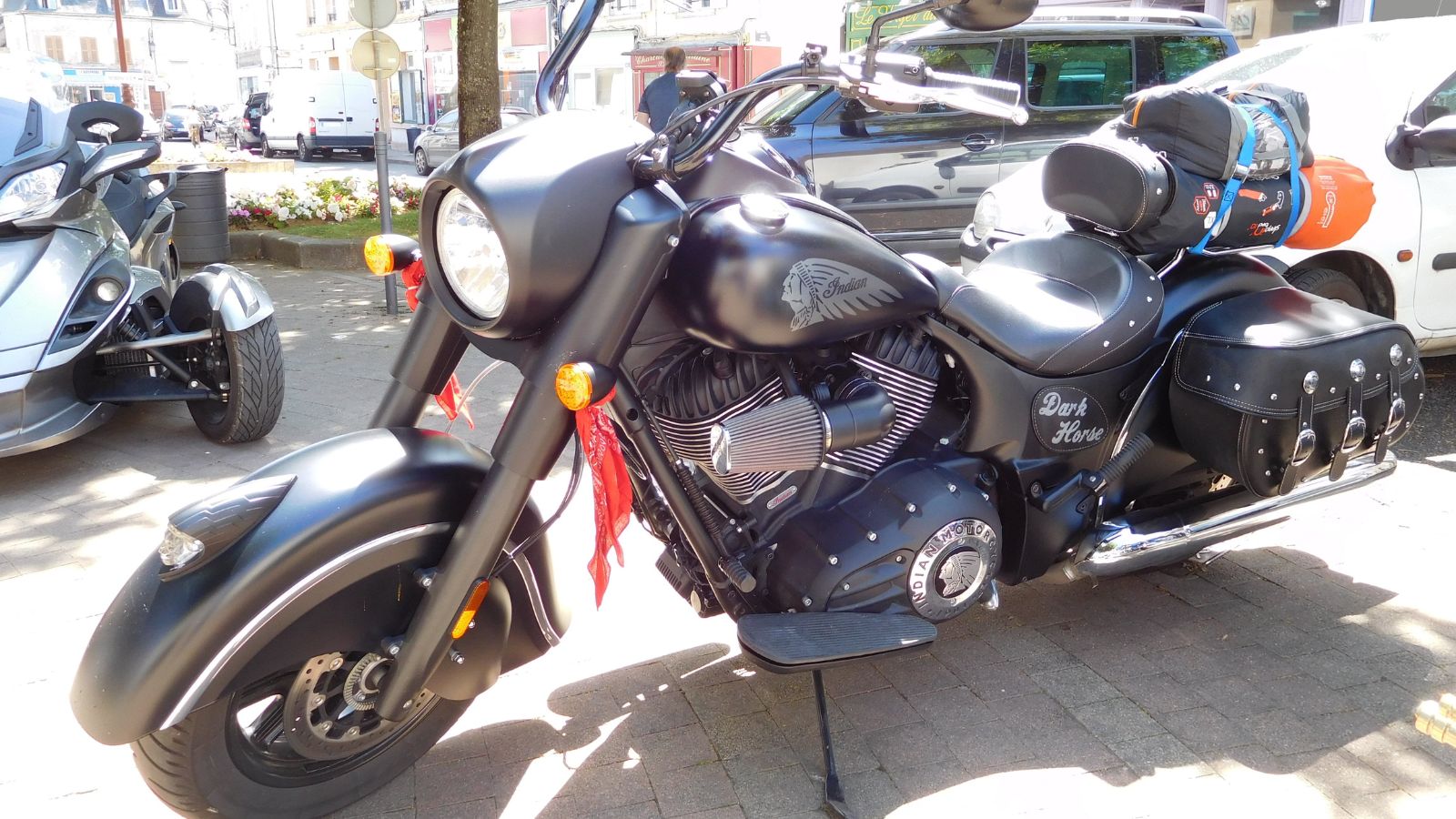 Indian Chief Dark Horse (2)