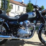 Kawasaki W800 (1)