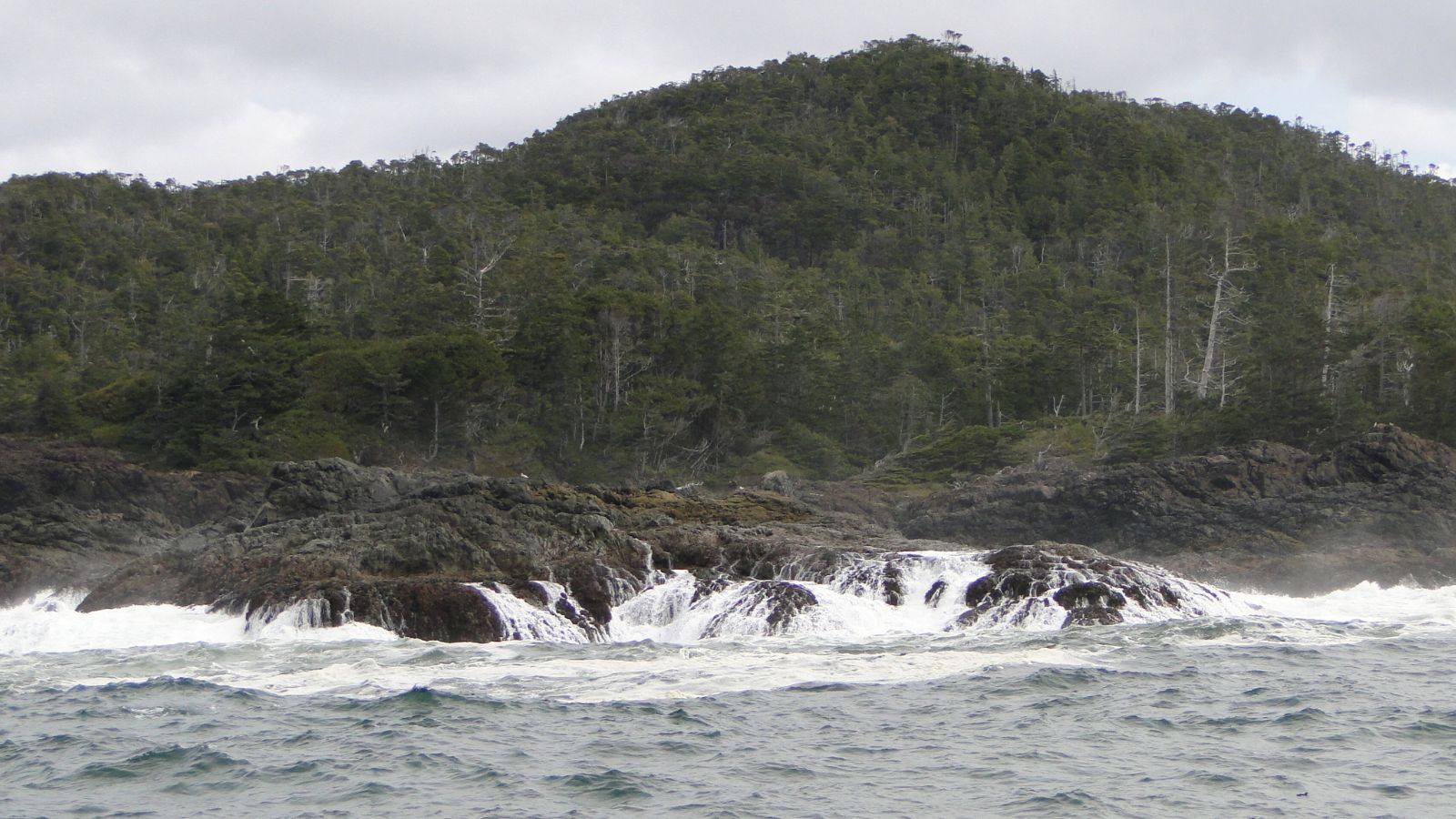 Pacific Rim National Park - Vancouver Island BC - Canada