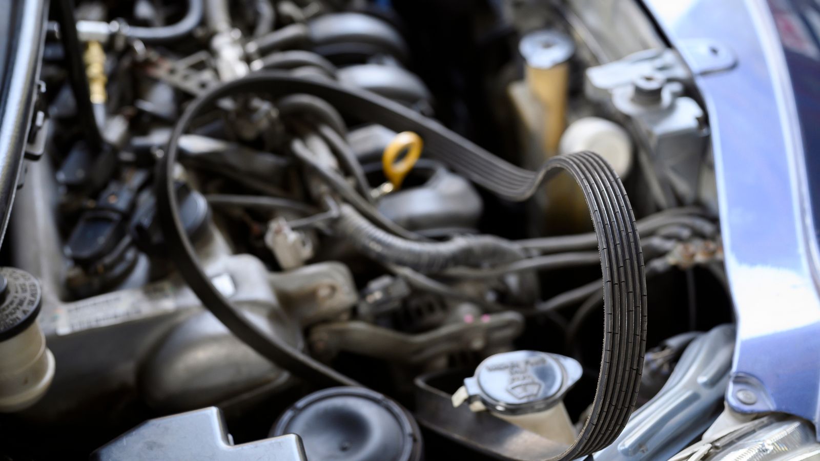 car serpentine belt