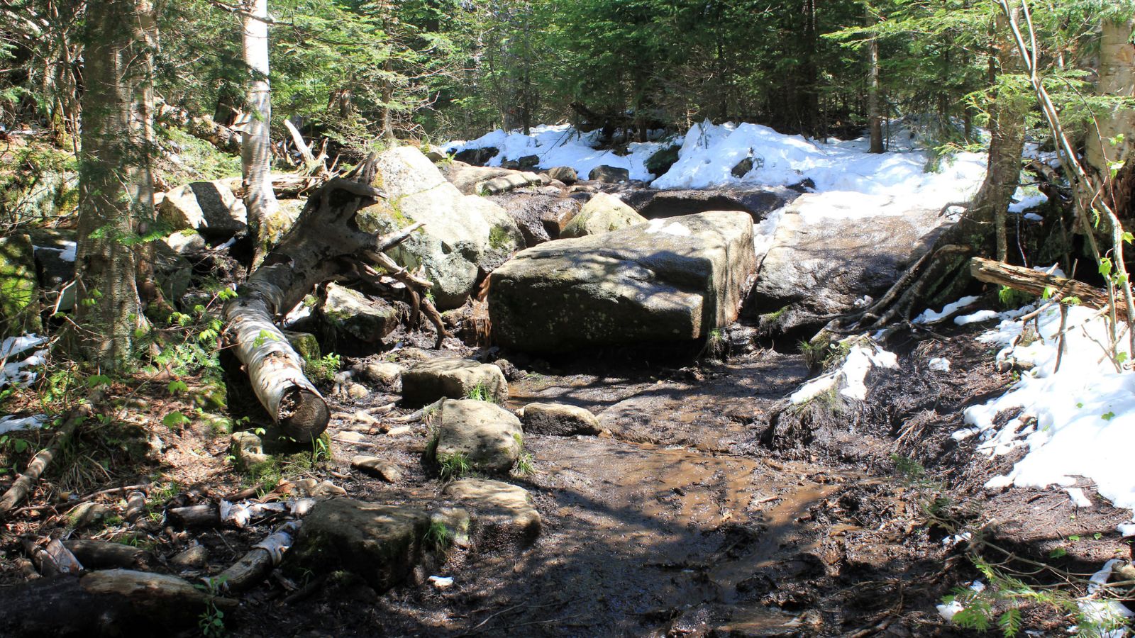 Gfp-new-york-adirondack-mountains-scenery-on-the-mountain