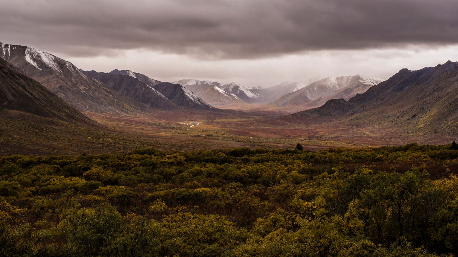 Tombstone Territorial Park